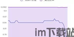 火币网usdt存入钱包却没有,火币网USDT存入钱包的详细教程及注意事项(图4) 火币网usdt存入钱包却没有,火币网USDT存入钱包的详细教程及注意事项(图4)