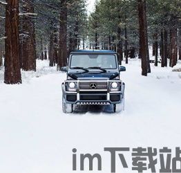 雪地奔驰在哪看当前等级,如何查看当前等级(图5)