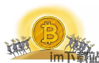 比特币 龙币,数字货币的崛起与未来展望(图5) 比特币 龙币,数字货币的崛起与未来展望(图5)