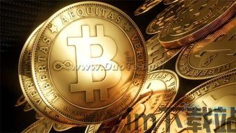 比特币br,数字黄金的未来?(图1) 比特币br,数字黄金的未来?(图1)