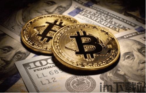 币心比特币,探索加密货币的未来(图9) 币心比特币,探索加密货币的未来(图9)