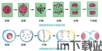 xsx版细胞分裂黑名单多少帧,黑名单》帧数解析(图2)