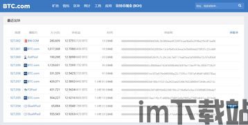 比特币浏览器,功能、使用方法及重要性(图4)