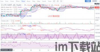 比特币的最后行情分析图,揭秘未来走势(图5) 比特币的最后行情分析图,揭秘未来走势(图5)