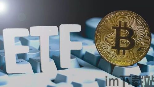 比特币充币提币,安全便捷的交易流程(图4) 比特币充币提币,安全便捷的交易流程(图4)