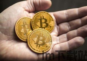 如果你拥有一枚比特币,瑕佸紑涓湇瑁呭巶闇瑕佷粈涔堣瘉浠讹紵(图1) 如果你拥有一枚比特币,瑕佸紑涓湇瑁呭巶闇瑕佷粈涔堣瘉浠讹紵(图1)