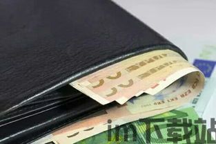 usdt存在钱包哪个种类里,USDT存在钱包的种类解析(图7) usdt存在钱包哪个种类里,USDT存在钱包的种类解析(图7)