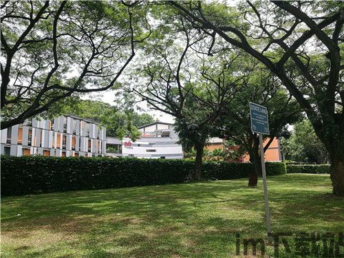usdt存在钱包哪个种类里,USDT存在钱包的种类解析(图11) usdt存在钱包哪个种类里,USDT存在钱包的种类解析(图11)