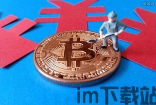 比特币 天秤币,数字货币的崛起与未来展望(图4) 比特币 天秤币,数字货币的崛起与未来展望(图4)