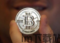 比特币大陆网站下载,比特币大陆官方网站下载指南(图2) 比特币大陆网站下载,比特币大陆官方网站下载指南(图2)