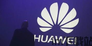 比特币大陆网站下载,比特币大陆官方网站下载指南(图7) 比特币大陆网站下载,比特币大陆官方网站下载指南(图7)