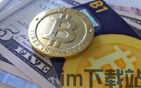 比特币担保,探索数字货币与传统金融的融合(图4) 比特币担保,探索数字货币与传统金融的融合(图4)