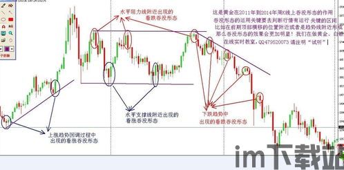 吞没形态(图1) 吞没形态(图1)