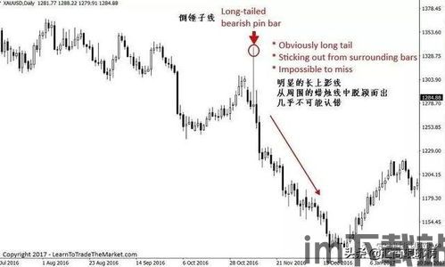 吞没形态(图3) 吞没形态(图3)