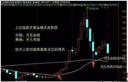 吞没形态(图4) 吞没形态(图4)