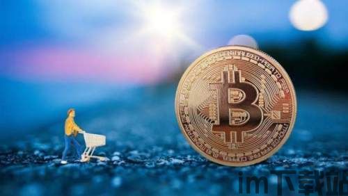 剩余比特币,剩余比特币的分布与未来展望(图4)