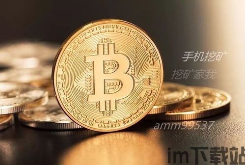 如何嫁接服务器挖比特币,全面指南(图1) 如何嫁接服务器挖比特币,全面指南(图1)