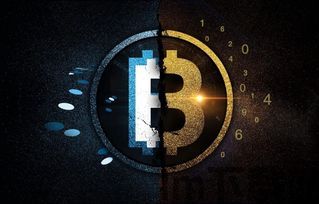 比特币硬分叉什么意思,什么是比特币硬分叉？(图8)