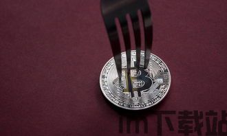 比特币硬分叉什么意思,什么是比特币硬分叉？(图7)