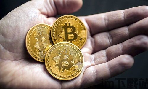 肥宅比特币海中捞比特币(图4) 肥宅比特币海中捞比特币(图4)