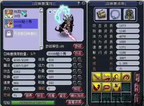 梦幻西游:超越魅小舞的个性宠收藏达人,第一个性瑞兽首次(图2)