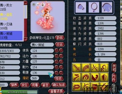 梦幻西游:超越魅小舞的个性宠收藏达人,第一个性瑞兽首次(图5)