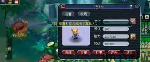 梦幻西游:超越魅小舞的个性宠收藏达人,第一个性瑞兽首次(图7)