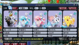梦幻西游:超越魅小舞的个性宠收藏达人,第一个性瑞兽首次(图8)