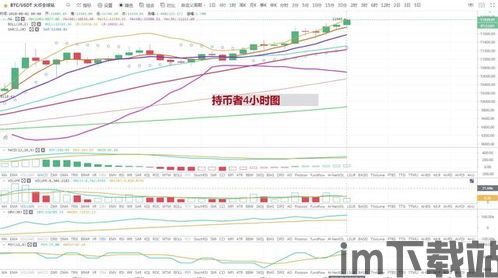 2月8号比特币行情价格,价格波动与市场动态(图3) 2月8号比特币行情价格,价格波动与市场动态(图3)