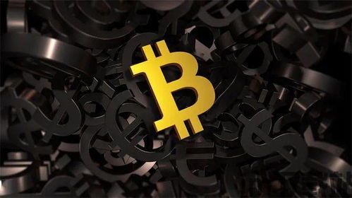 常用的usdt币钱包,安全与便捷并存的选择(图2)