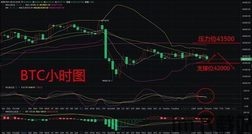 比特币26日行情走势图,比特币26日行情走势图深度解析(图4) 比特币26日行情走势图,比特币26日行情走势图深度解析(图4)