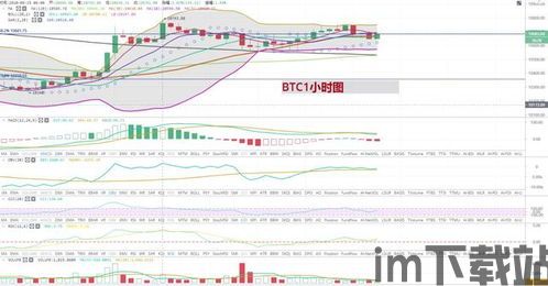 比特币26日行情走势图,比特币26日行情走势图深度解析(图5) 比特币26日行情走势图,比特币26日行情走势图深度解析(图5)