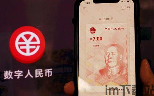 货币钱包usdt不能兑换币种,USDT货币钱包无法兑换的币种解析(图3) 货币钱包usdt不能兑换币种,USDT货币钱包无法兑换的币种解析(图3)