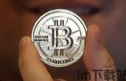 比特币吉祥,揭秘加密货币的崛起与未来(图4) 比特币吉祥,揭秘加密货币的崛起与未来(图4)