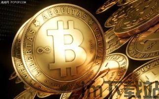 目前比特币算一种货币吗,承认比特币是一种货币的国家(图4) 目前比特币算一种货币吗,承认比特币是一种货币的国家(图4)