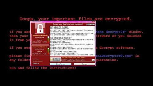 比特币病毒动画图片,揭示加密货币安全的警示(图8) 比特币病毒动画图片,揭示加密货币安全的警示(图8)