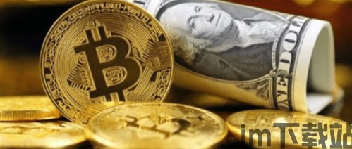 比特币合法化,全球趋势与影响分析(图8) 比特币合法化,全球趋势与影响分析(图8)
