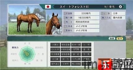 赛马大亨8改名,轻松应对游戏中的姓名输入难题(图5)