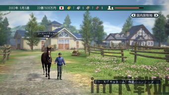 赛马大亨8改名,轻松应对游戏中的姓名输入难题(图7)