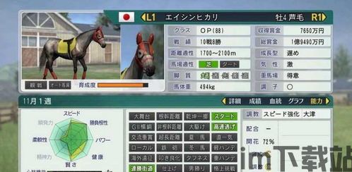 赛马大亨8改名,轻松应对游戏中的姓名输入难题(图11)