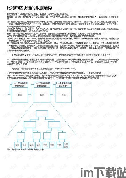 比特币和联盟链数据结构,比特币与联盟链数据结构解析(图6) 比特币和联盟链数据结构,比特币与联盟链数据结构解析(图6)