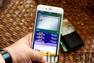 usdt钱包id怎么看,USDT钱包ID查看方法详解(图6) usdt钱包id怎么看,USDT钱包ID查看方法详解(图6)