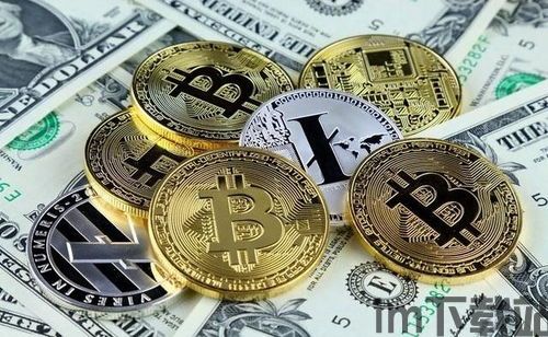 比特股币是什么东西,比特股币简介(图6) 比特股币是什么东西,比特股币简介(图6)