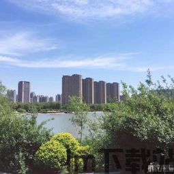 凤凰视频安卓版(图6) 凤凰视频安卓版(图6)