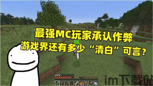 我的世界安卓版(图5)