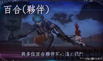 无夜之国2:新月的花嫁最强装备,新月的花嫁最强装备盘点(图10) 无夜之国2:新月的花嫁最强装备,新月的花嫁最强装备盘点(图10)