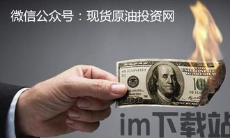 美元失信比特币会怎么样,美元失信,比特币将如何应对?(图3) 美元失信比特币会怎么样,美元失信,比特币将如何应对?(图3)