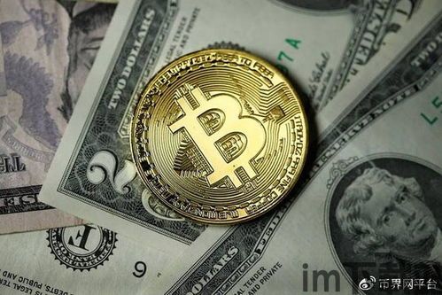 一个比特币能卖多少钱啊,叚鎰熺敓姝绘亱鍦嚎瑙傜湅(图9) 一个比特币能卖多少钱啊,叚鎰熺敓姝绘亱鍦嚎瑙傜湅(图9)