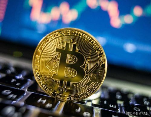 ..比特币,特朗普胜选背后的加密货币热潮(图5)