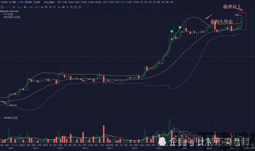 比特币强势回调什么意思,比特币强势回调的含义与影响(图4) 比特币强势回调什么意思,比特币强势回调的含义与影响(图4)